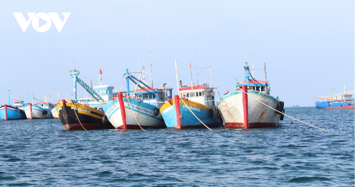 Bình Thuận giám sát chặt chẽ tàu cá nguy cơ cao vi phạm vùng biển nước ngoài